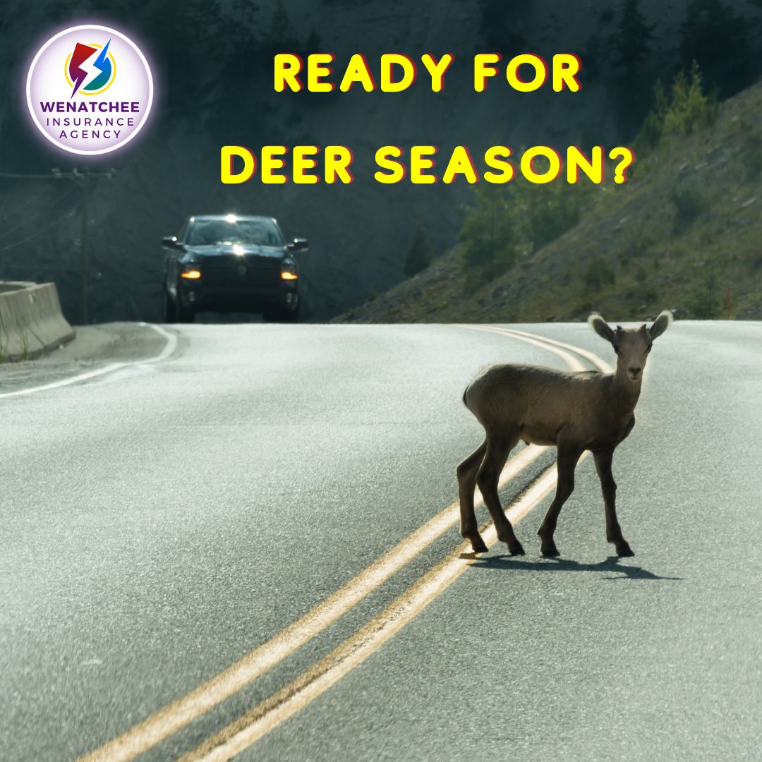 What happens with insurance when I get in an accident with a deer in my truck?