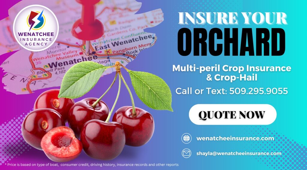 crop insurance is important at Wenatchee Insurance