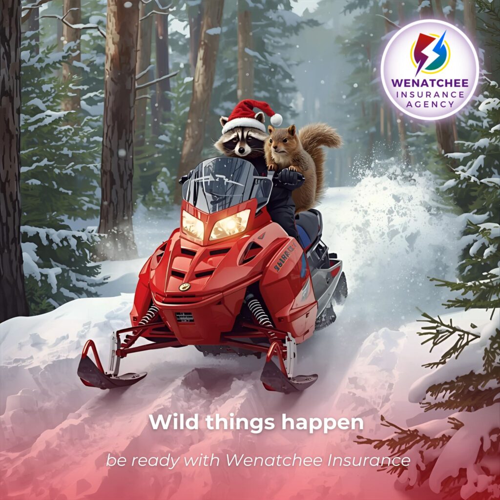 We insure your ATV, Snowmobile and motorcycle at Wenatchee Insurance