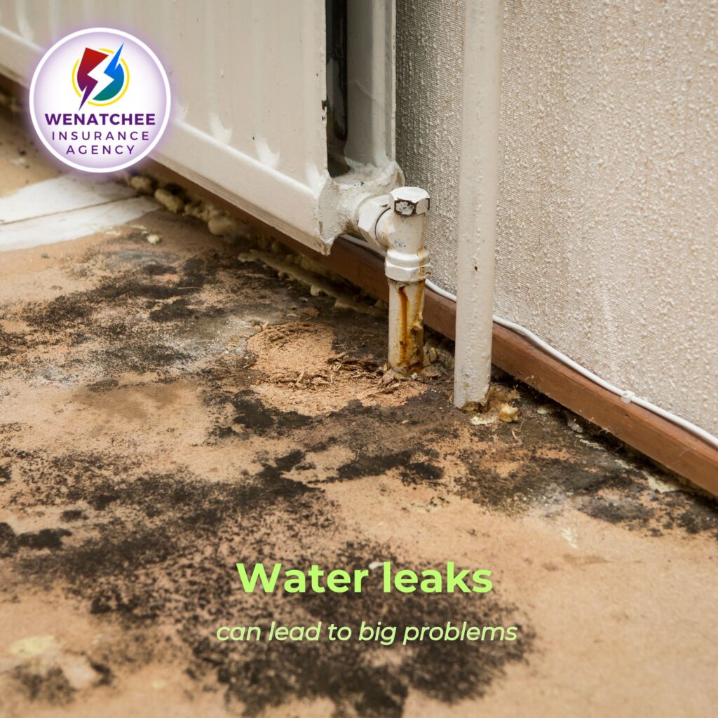 water damage from leaks