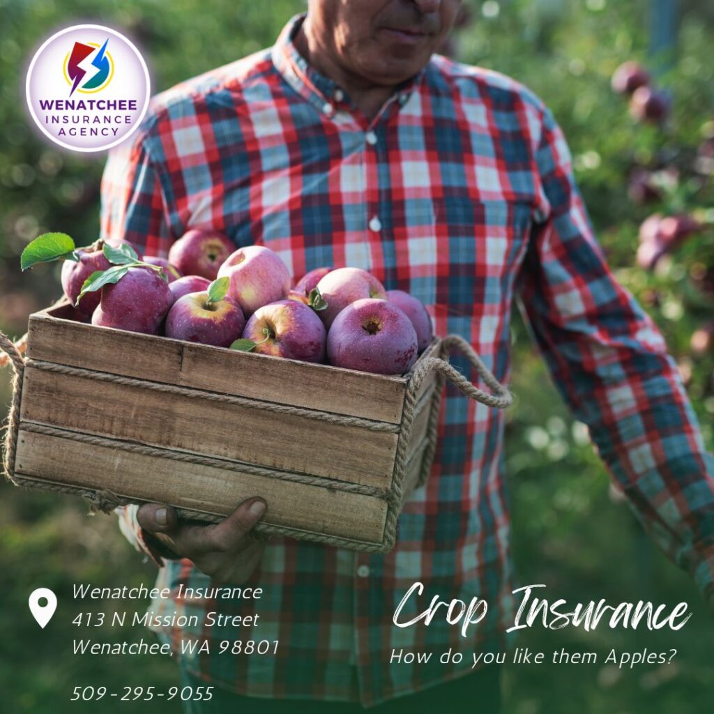 crop insurance