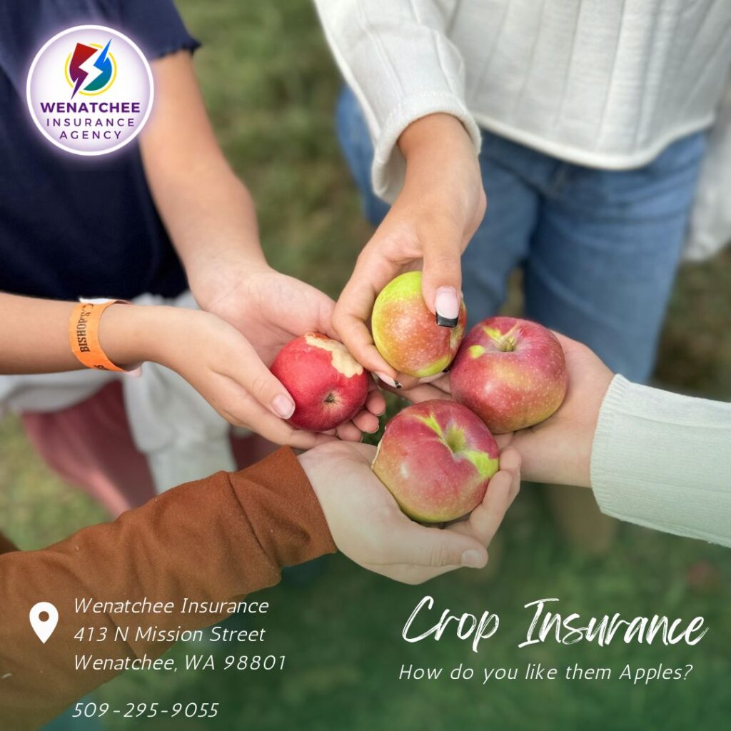 crop insurance